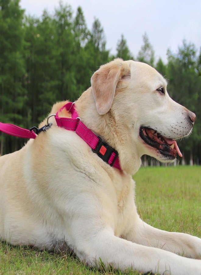 Joytale Martingale Collar for Dogs, Reflective Heavy Duty for Safety, Quick Release Buckle, Adjustable Nylon Collars for Medium Dogs Walking Training, Hotpink,M - Image 3
